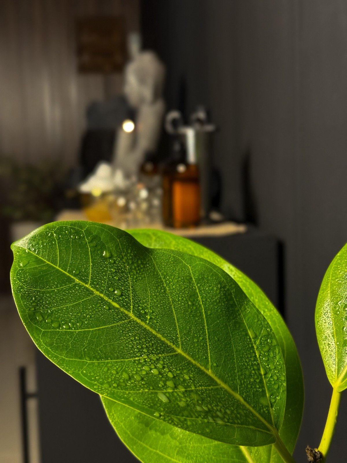 WhatsApp Image 2025-11-04 at 9.08.36 AM (1) WhatsApp Image 2025-11-04 at 9.08.36 AM (1)