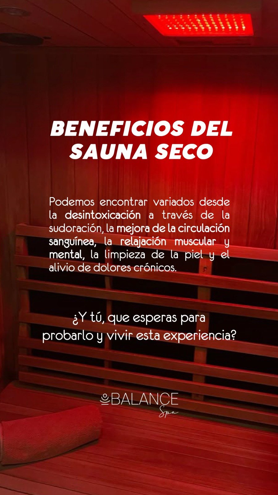 WhatsApp Image 2025-11-04 at 9.08.37 AM (3)